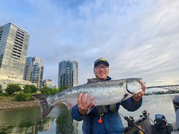 Spring chinook salmon!