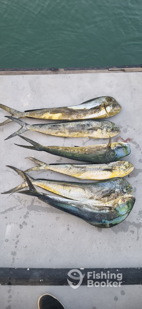 Panama City Report Photo 0