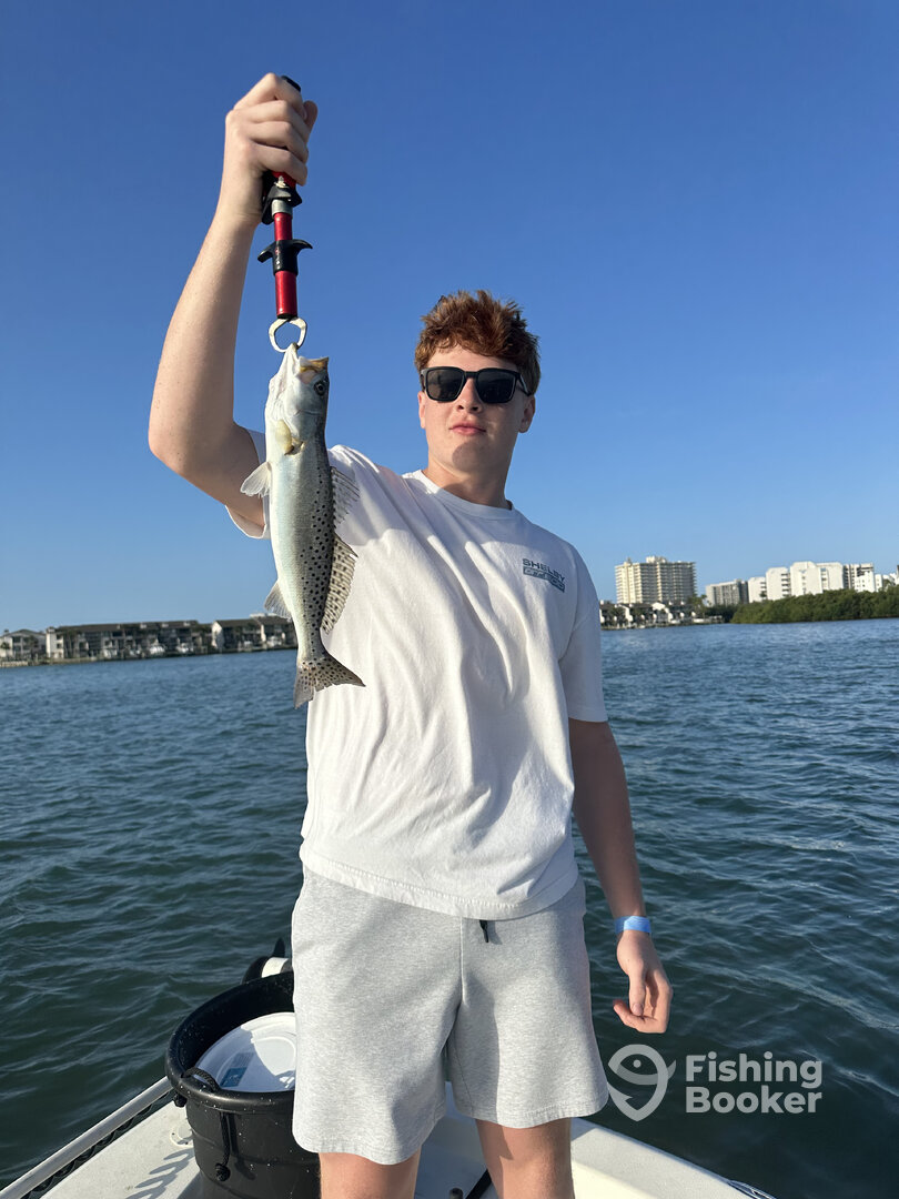 Belleair Bluffs Report Photo 0