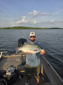 Nashville Report Photo 4