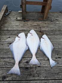 Parksville Report Photo 1