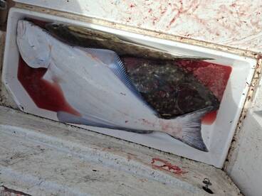 Parksville Report Photo 2