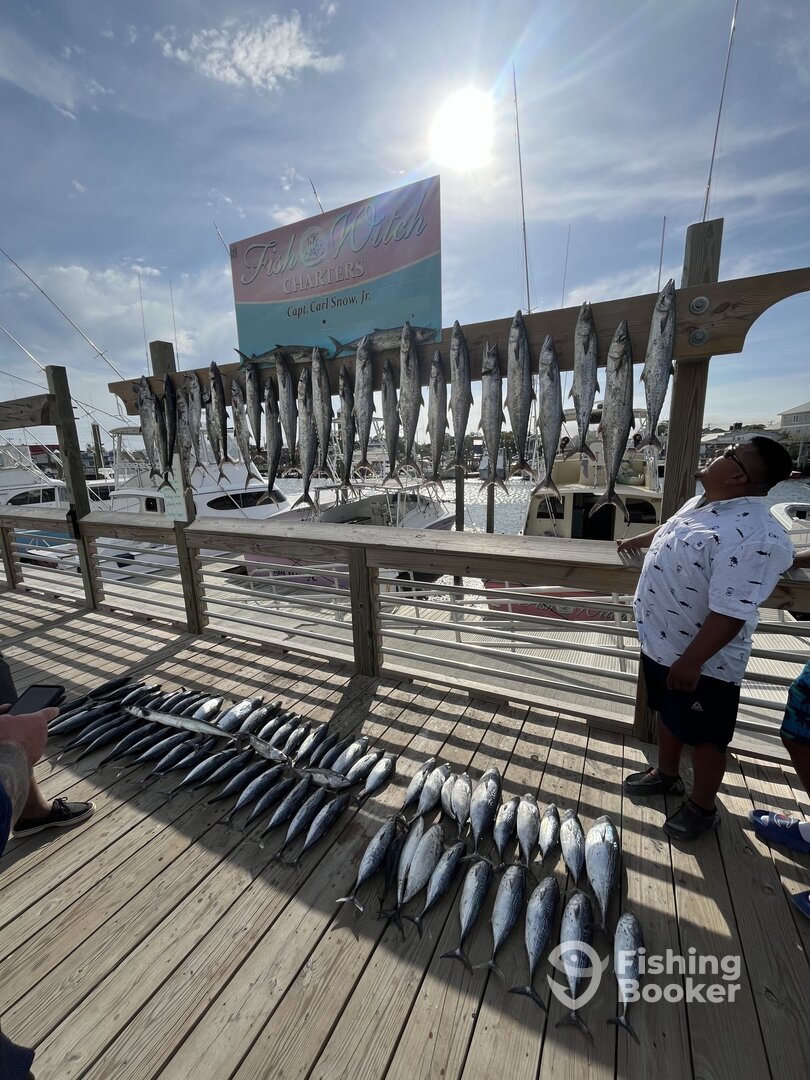 Carolina Beach Report Photo 0