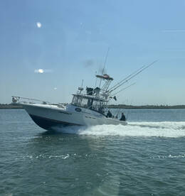 Freeport Report Photo 1