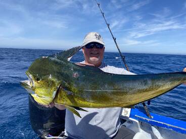 Dorados (Mahi )