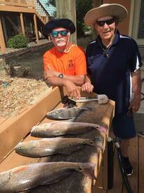 Houston Report Photo 2