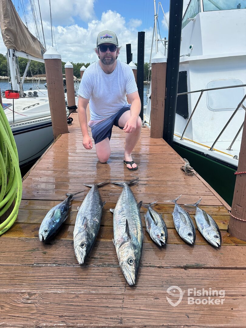 Dania Beach Report Photo 0