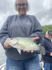 Branson Report Photo 2