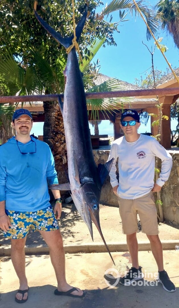 San Jose del Cabo Report Photo 0