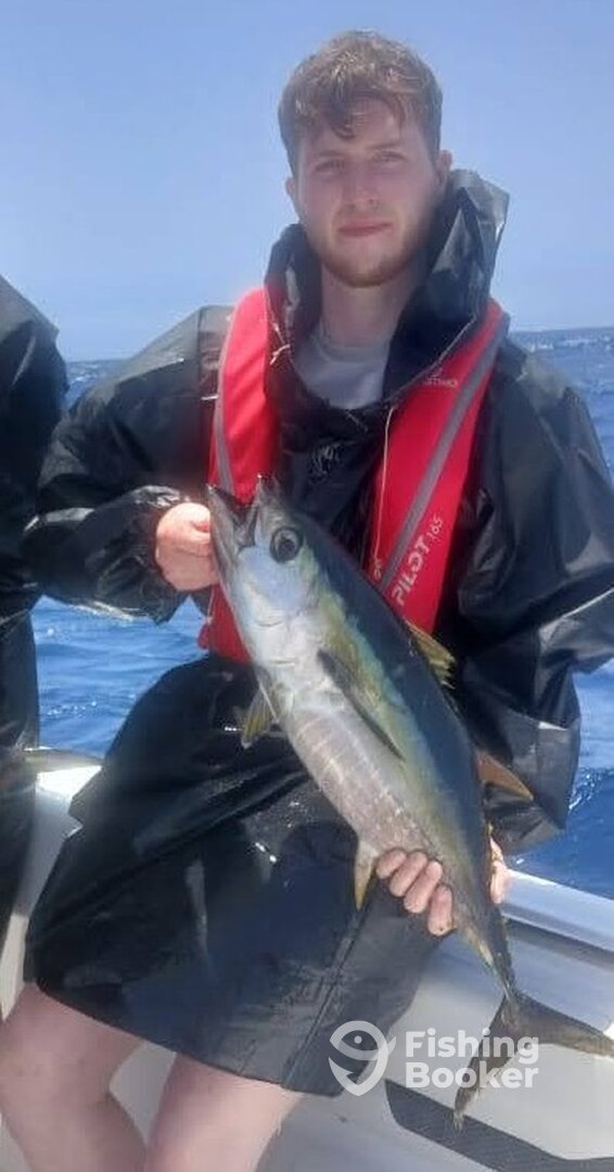 Cape Verde Report Photo 0