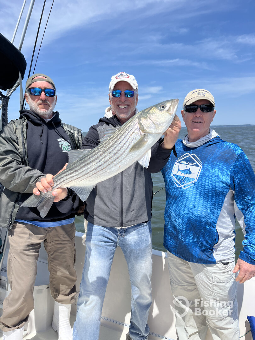 Highlands Report Photo 0