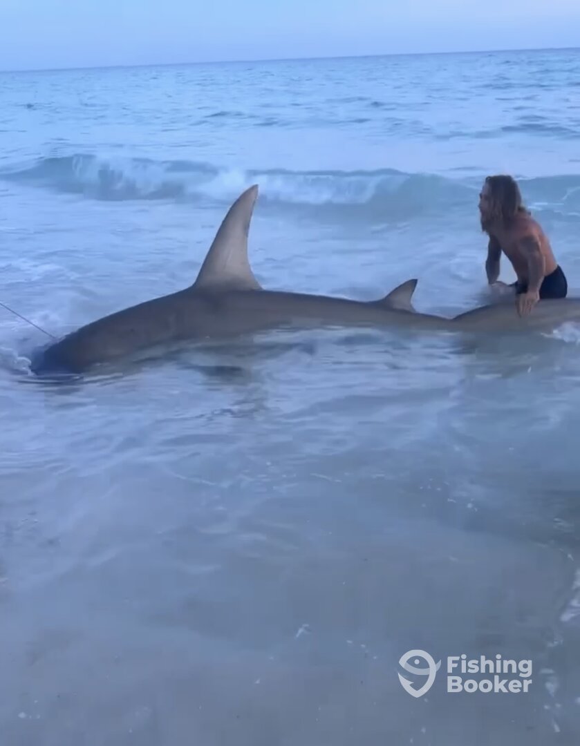 Navarre Report Photo 0