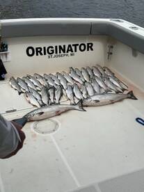 Great fishing now Book your charter toda