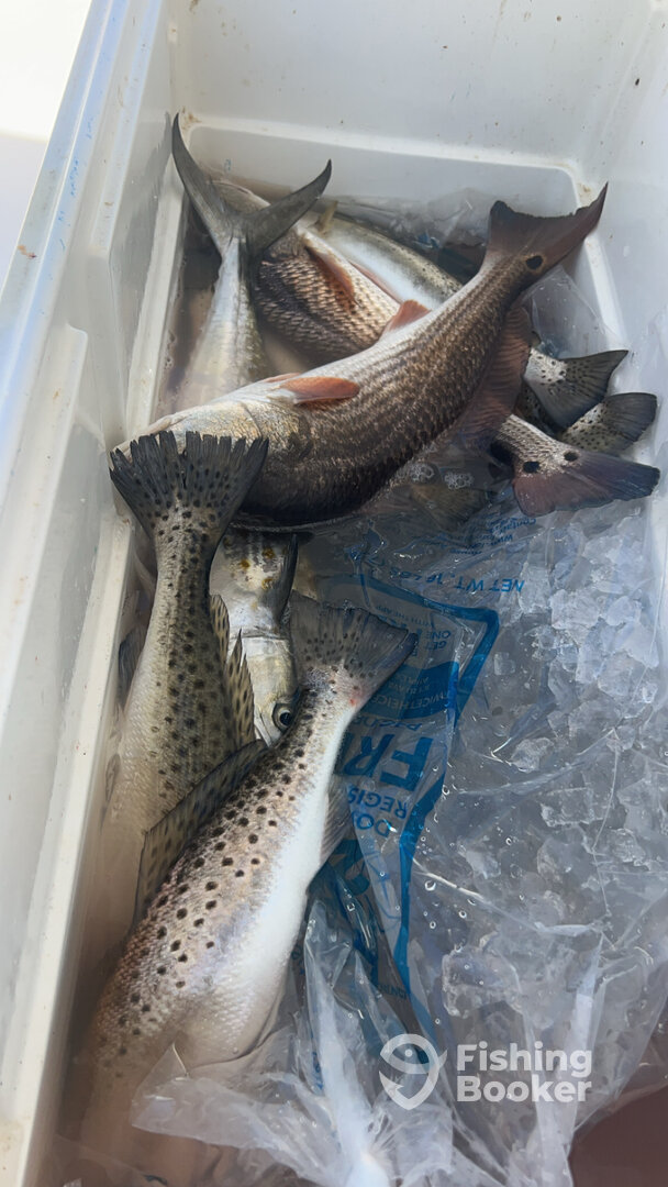 Pensacola Report Photo 0