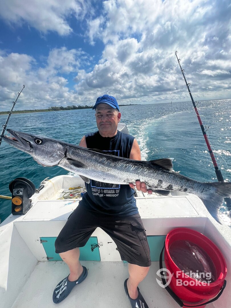 Playa Del Carmen Report Photo 0