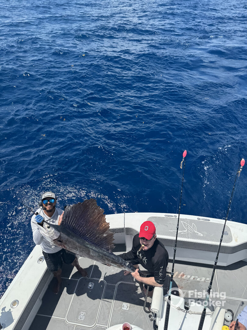 Miami Beach Report Photo 0