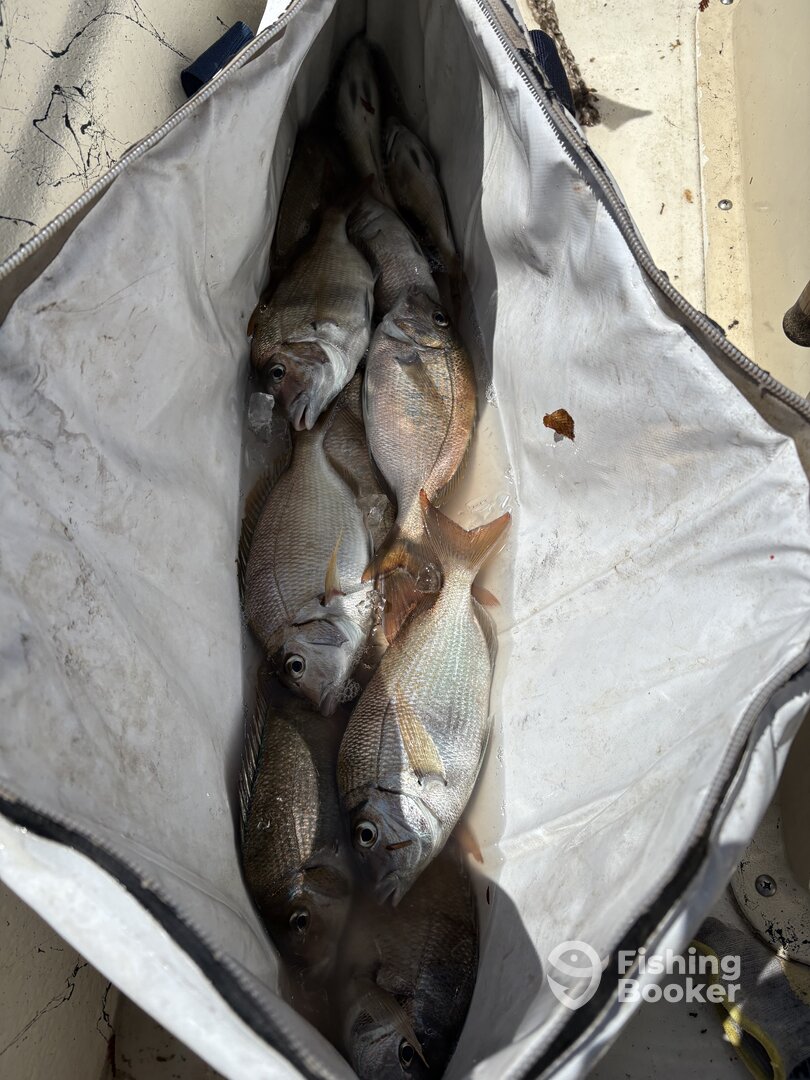 Barnstable Report Photo 0