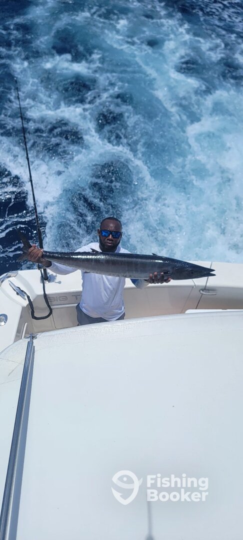 La Romana Report Photo 0