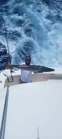 Great day wahoo biting 