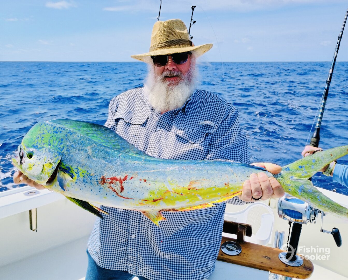 Sandys Report Photo 0