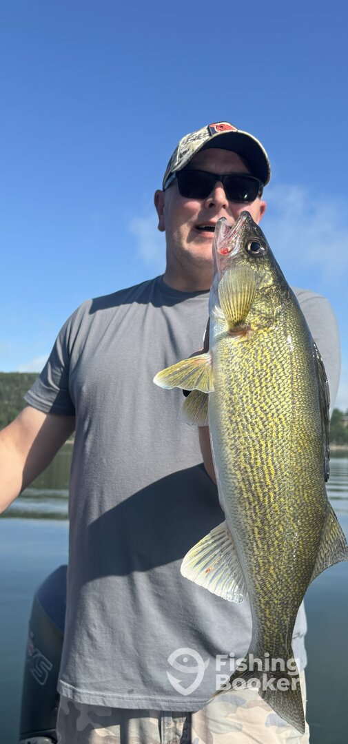 Branson Report Photo 0