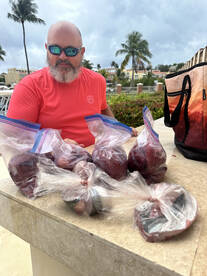 Humacao Report Photo 2