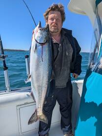 Solid King in some sporty conditions