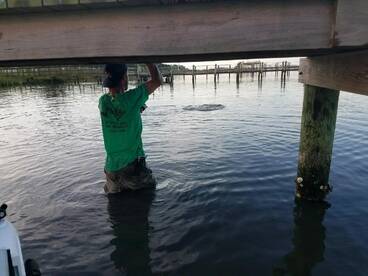 Port Orange Report Photo 1