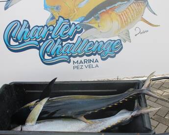 Quepos Report Photo 1