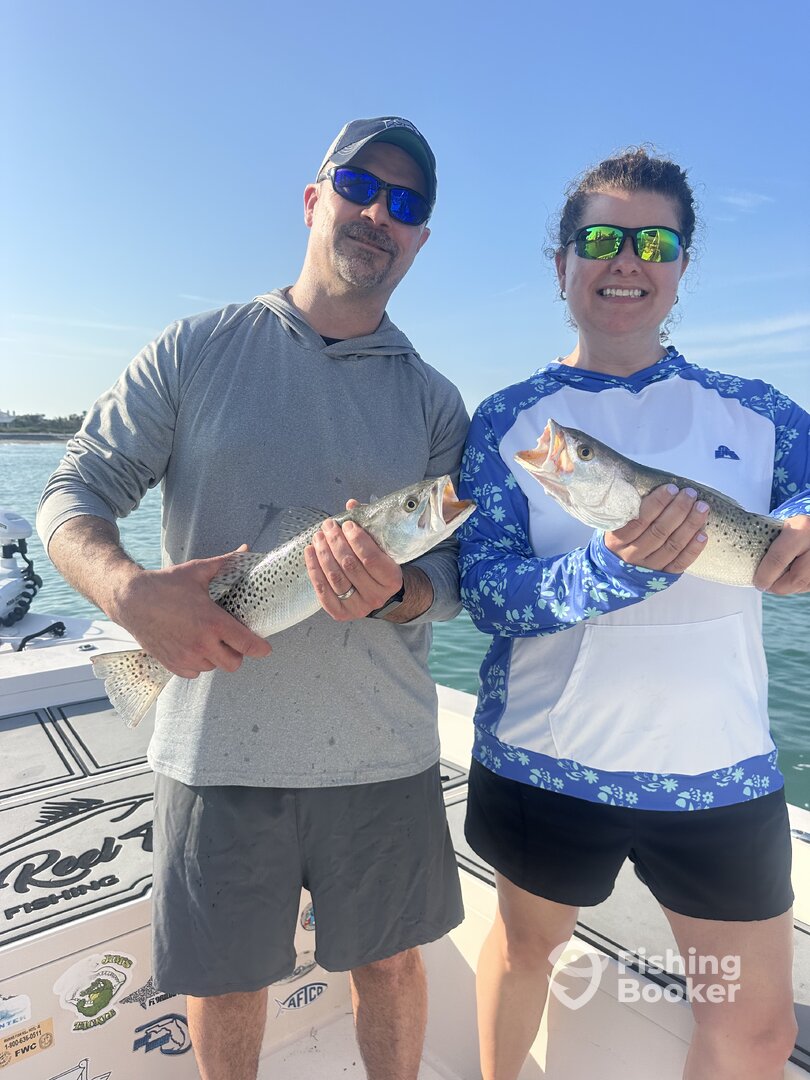 Sarasota Report Photo 0