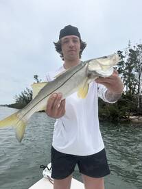 Sarasota Report Photo 1