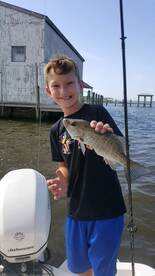 Port Orange Report Photo 1