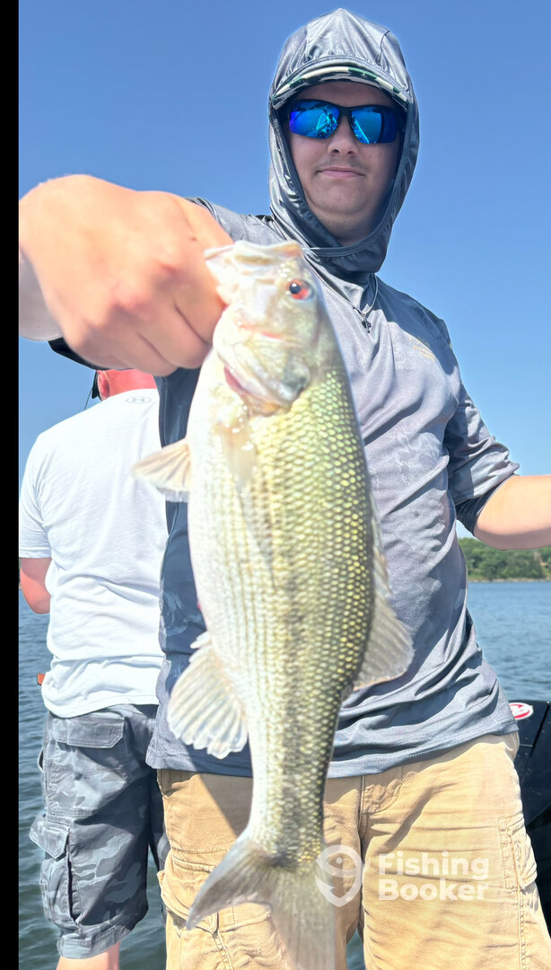 Branson Report Photo 0