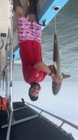 Darien Report Photo 1