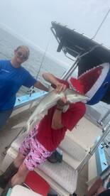 A fun shark trip