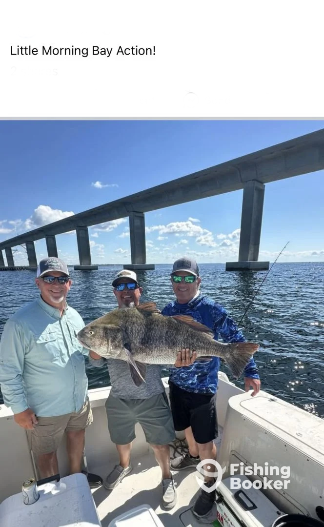 Shalimar Report Photo 0