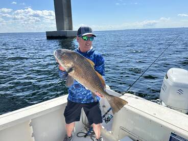 Shalimar Report Photo 2