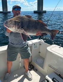 Shalimar Report Photo 1