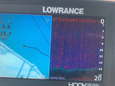 Sunny day, slow fishing.