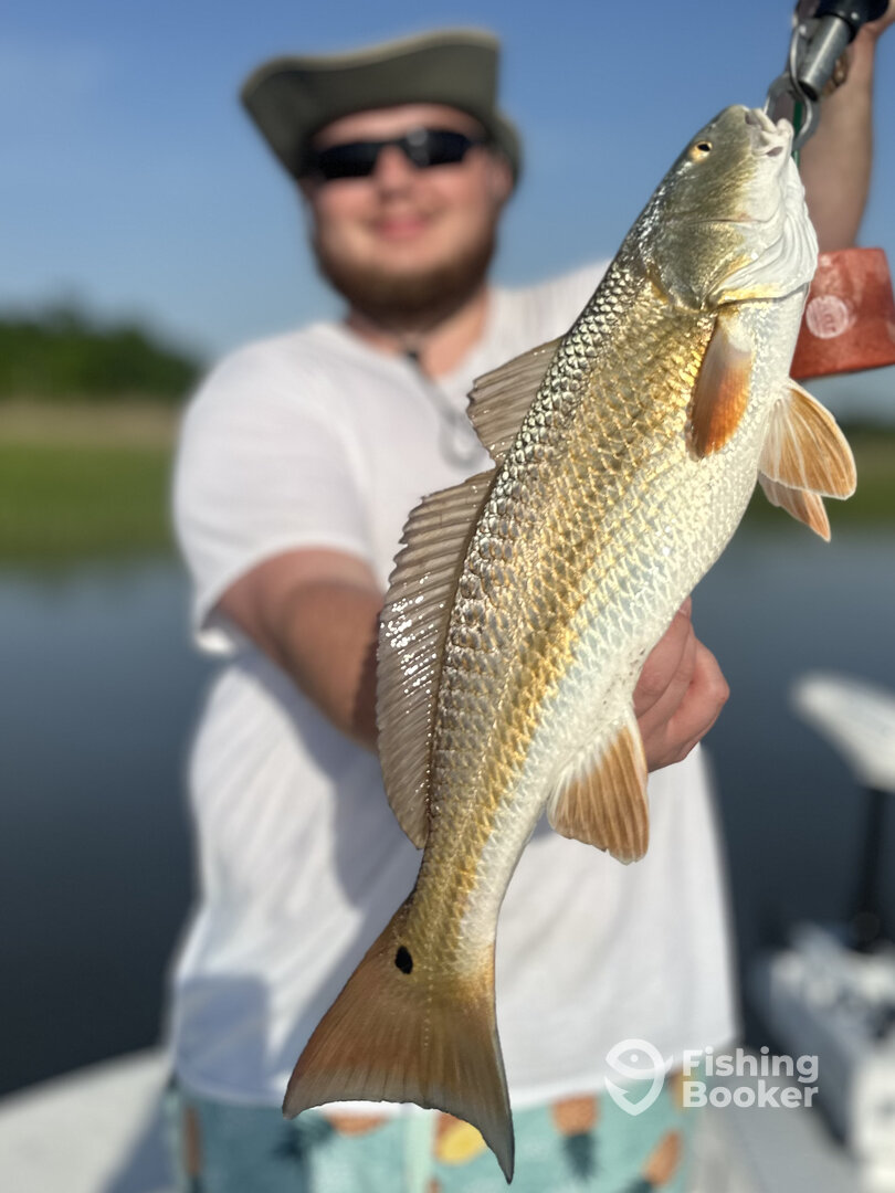 Savannah Report Photo 0