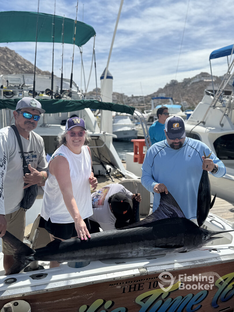 Cabo San Lucas Report Photo 0