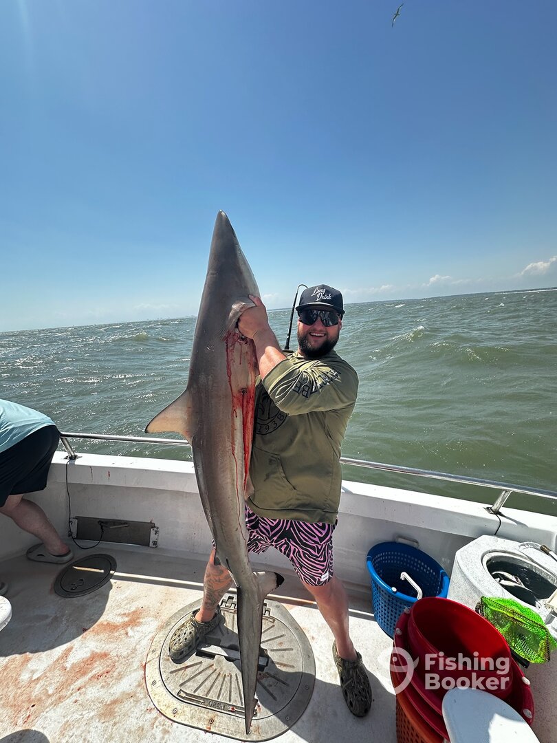 Calabash Report Photo 0