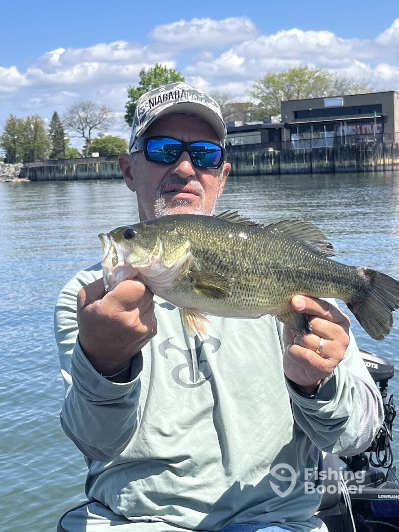 Buffalo Report Photo 0