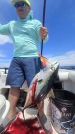 Cabo San Lucas Verslag Foto 1