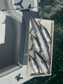 Fort Lauderdale Report Photo 1