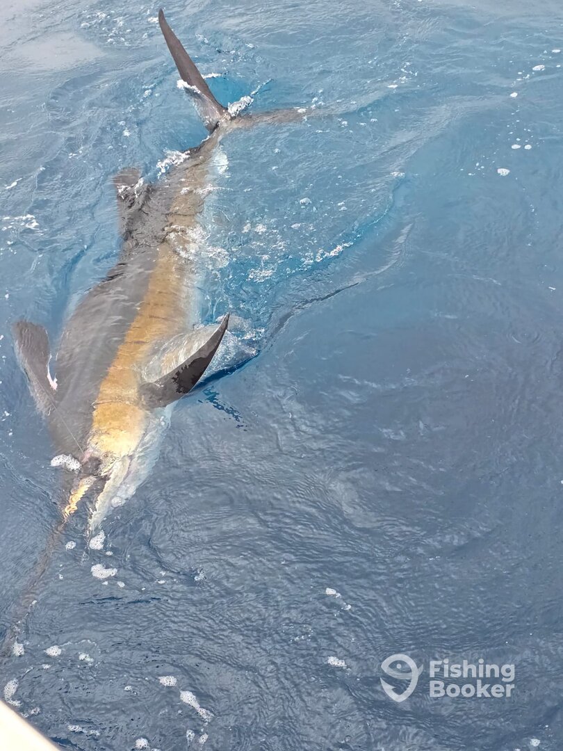 Quepos Report Photo 0