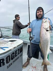 Los Angeles Report Photo 1