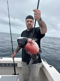 Great island fishing