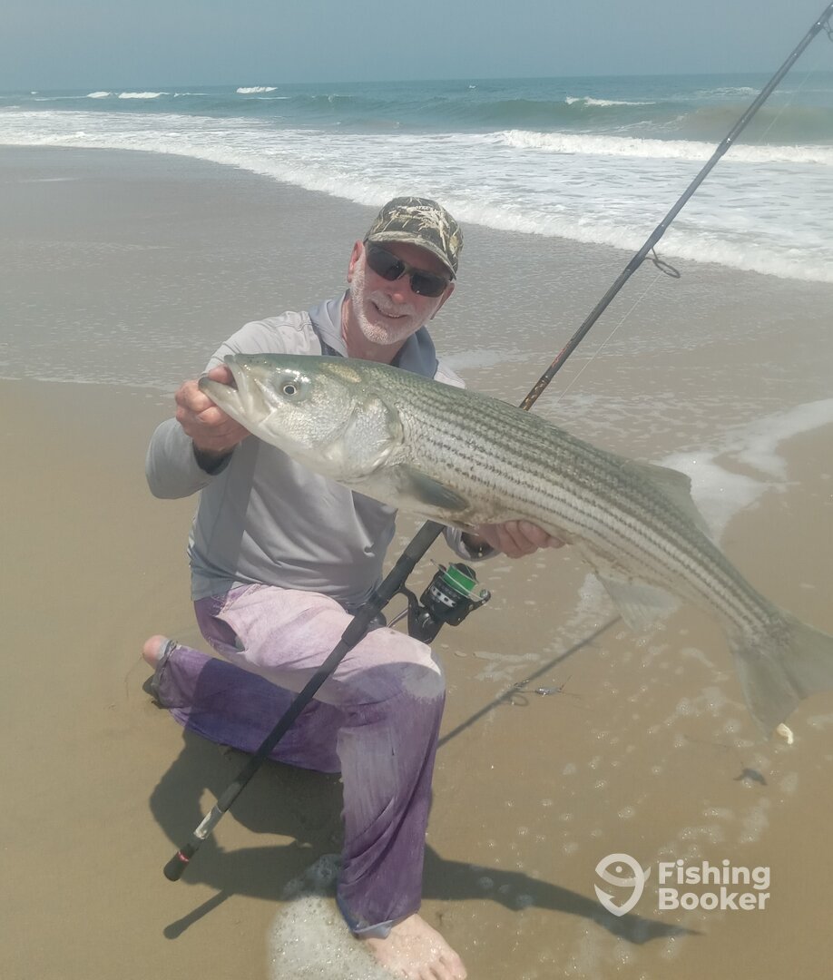 Chincoteague Report Photo 0