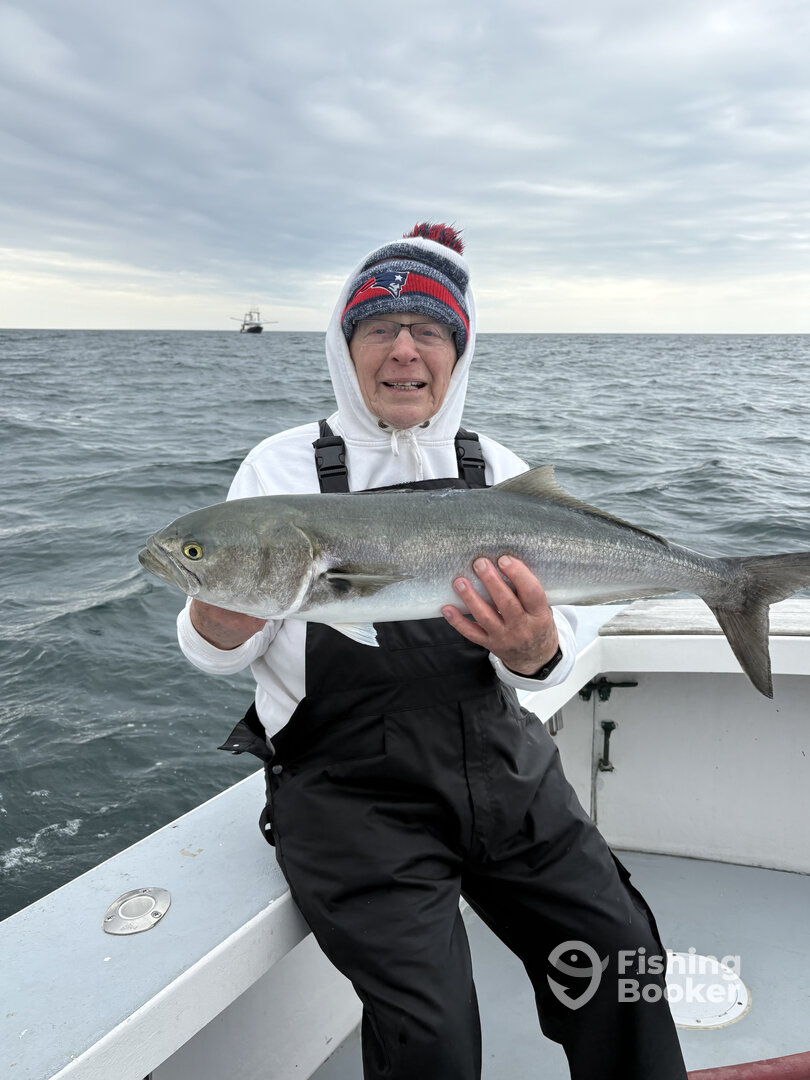 Narragansett Report Photo 0